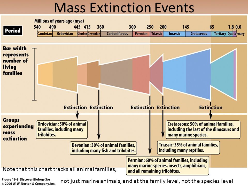Extinction event